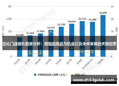 苏比门迪留队前景分析：面临的挑战与机会以及未来发展的关键因素