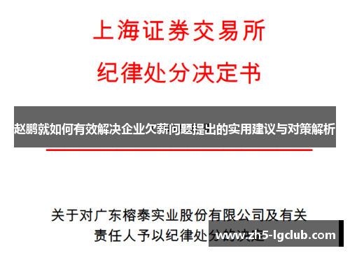 赵鹏就如何有效解决企业欠薪问题提出的实用建议与对策解析