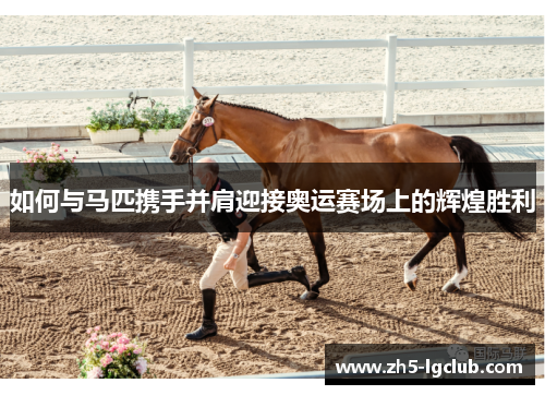 如何与马匹携手并肩迎接奥运赛场上的辉煌胜利
