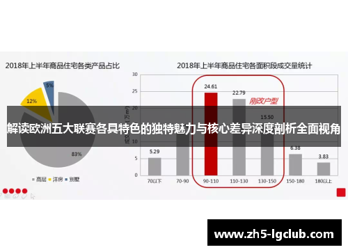 解读欧洲五大联赛各具特色的独特魅力与核心差异深度剖析全面视角 解读欧洲五大联赛各具特色的独特魅力与核心差异深度剖析全面视角