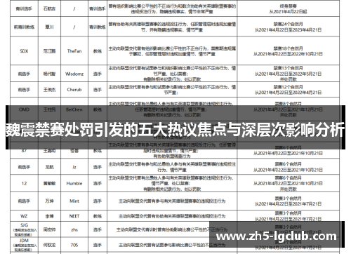 魏震禁赛处罚引发的五大热议焦点与深层次影响分析