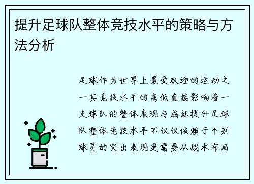 提升足球队整体竞技水平的策略与方法分析
